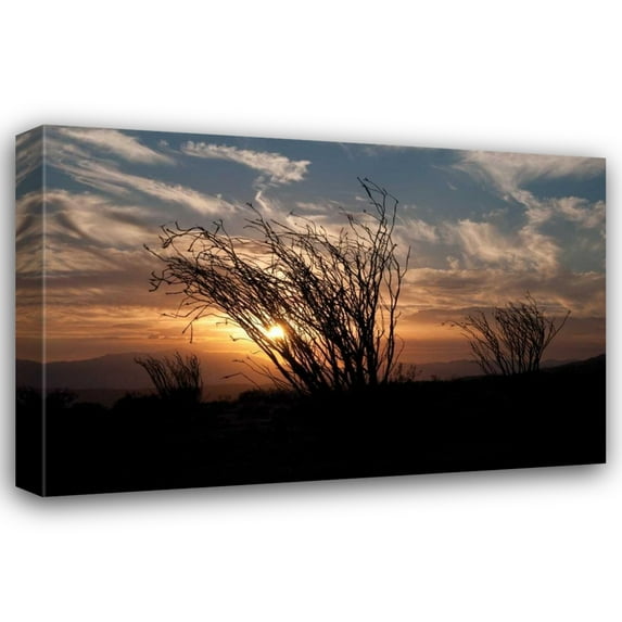 Erin Berzel 24x17 Gallery Wrapped Canvas Wall Art Titled - Ocotillo Cactus I