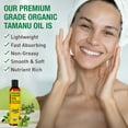thumbnail image 4 of Seven Minerals USDA Organic Tamanu Oil - Big 8oz - Cold Pressed for Skin, Face, Hair, & Nails, 4 of 9