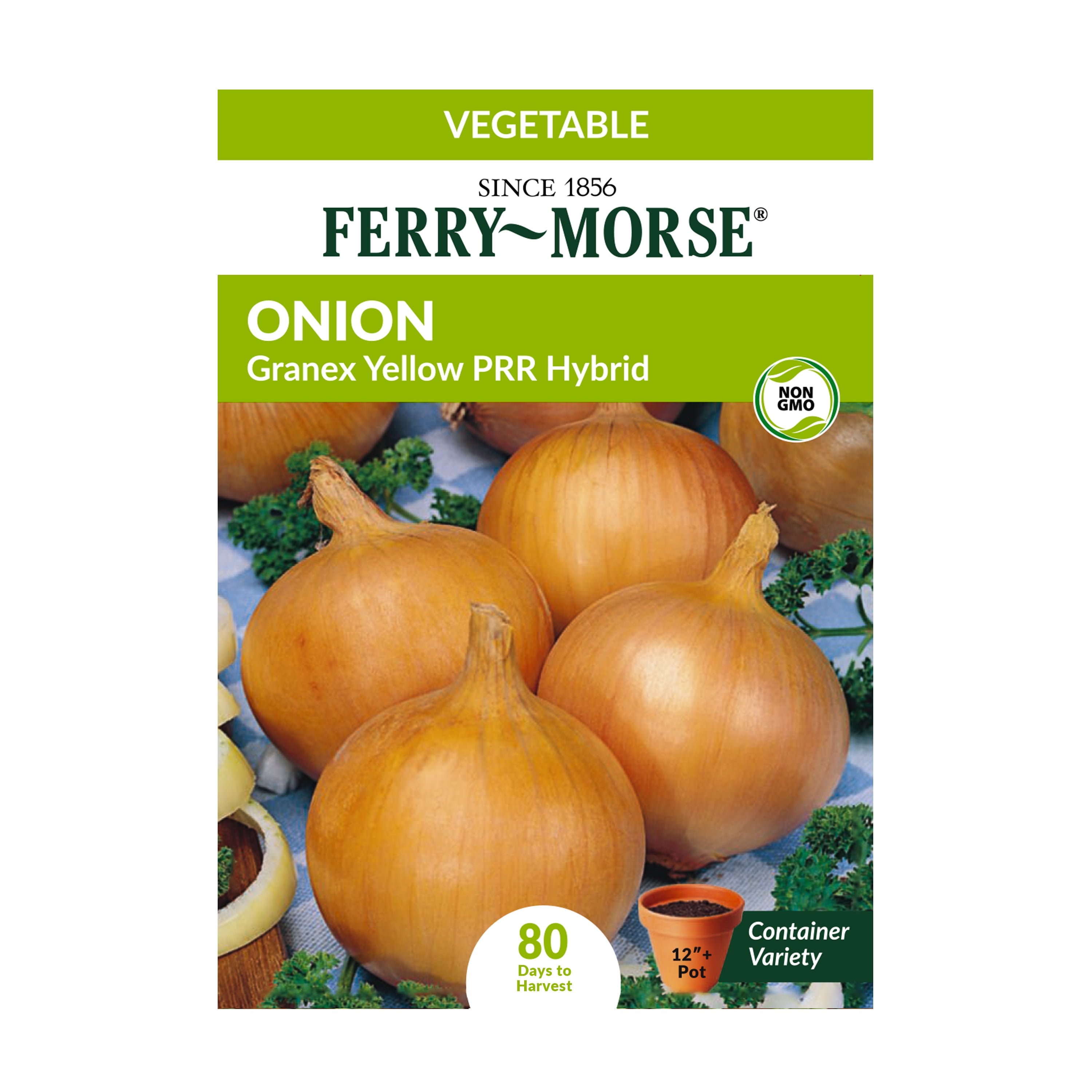 FerryMorse Onion Granex Yellow PRR Hybrid Plant Seeds (1 Pack) Seed