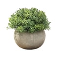 thumbnail image 1 of Bearachild Plantas artificiales en macetas No tóxico Degradable Apariencia realista Sala de estar Flores falsas Decoración JH3425, 1 of 6