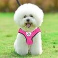 thumbnail image 4 of Arnés para perros y gatos chaleco para gatitos correa de plomo para caminar para entrenamiento (Rose Red S) Sywqhk Libre de BPA, 4 of 6