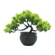 thumbnail image 4 of bonsái artificial, plantas de imitación, adornos de plantas realistas para el hogar, planta en maceta Artificial para decoración de estantería Verde, 4 of 8