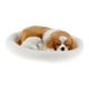 thumbnail image 1 of Adorno Perro de Peluche Suave Zulema Decoración para el Hogar Regalo Blanco amarillo Simulación, 1 of 8