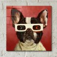 thumbnail image 4 of Epic Art Lucia Heffernan 3D Dog 12"x12" Framed Art Prints, 4 of 8