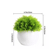 thumbnail image 3 of 2 Macetas Plantas Artificiales Barro Decoración Bonsái Verde, 3 of 3