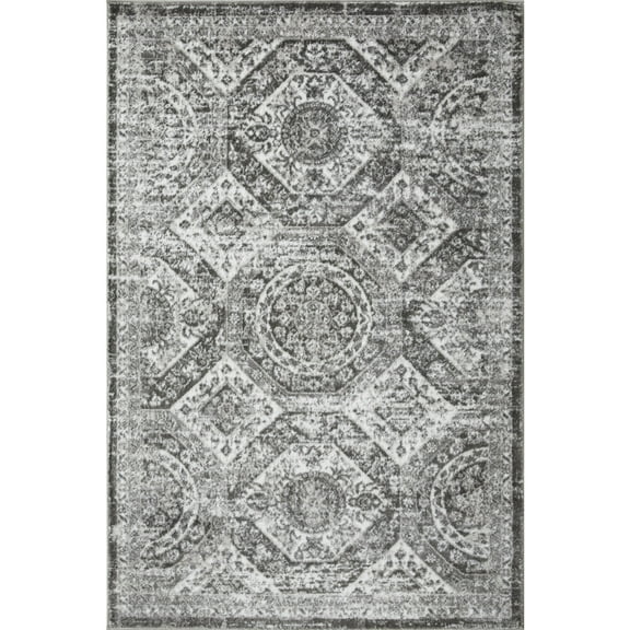 Loomaknoti Rhane Alvezi 4' x 6' Gray Oriental Indoor Area Rug