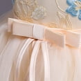 thumbnail image 4 of Vêtements pour Tout-Petites Fille Tout-Petite Enfant Fille Dentelle Sans Manches Robe de Princesse Robe de Fête Robe en Tulle Cosplay Vêtements, 4 of 9
