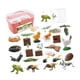 thumbnail image 5 of Ciclo de vida animal Juguete Montessori Juguetes Material didáctico de ciencias Ciclo de crecimiento animal Caja rosa, 5 of 9