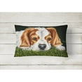 thumbnail image 2 of Carolines Treasures AMB1395PW1216 Cavalier Spaniel in the Grass Fabric Decorative Pillow  12H x16W multicolor, 2 of 3