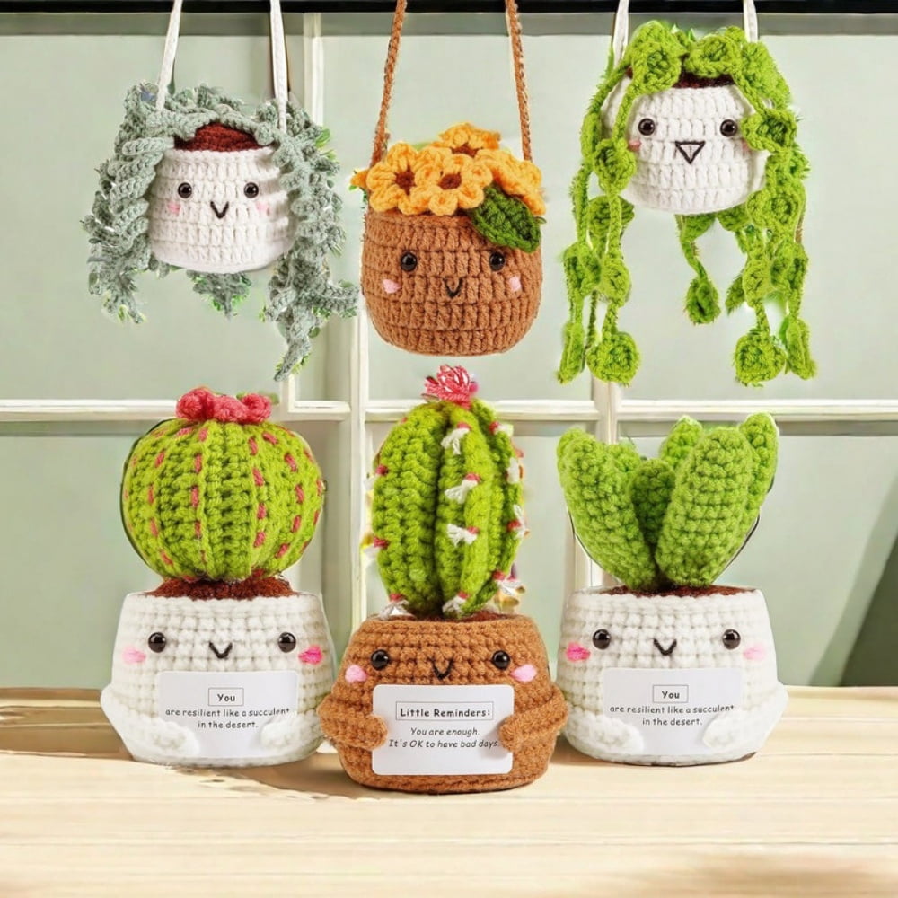 Crochet Kit for Beginners, Boriyuan 6Pcs Hanging Potted Plants and Cactus Succulent Family Crochet Kit with Crochet Accessories, Craft DIY Knitting Supplies for Adults