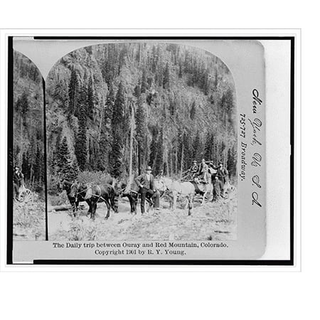 Historic Print, The daily trip between Ouray and Red Mountain, Colorado, 18" x 24"