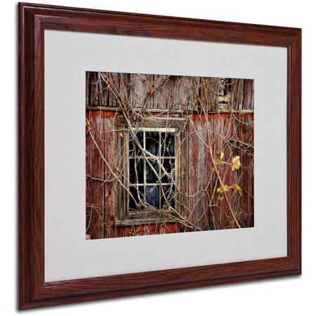 Trademark Fine Art Old Barn Window By Lois Bryan Wood Frame