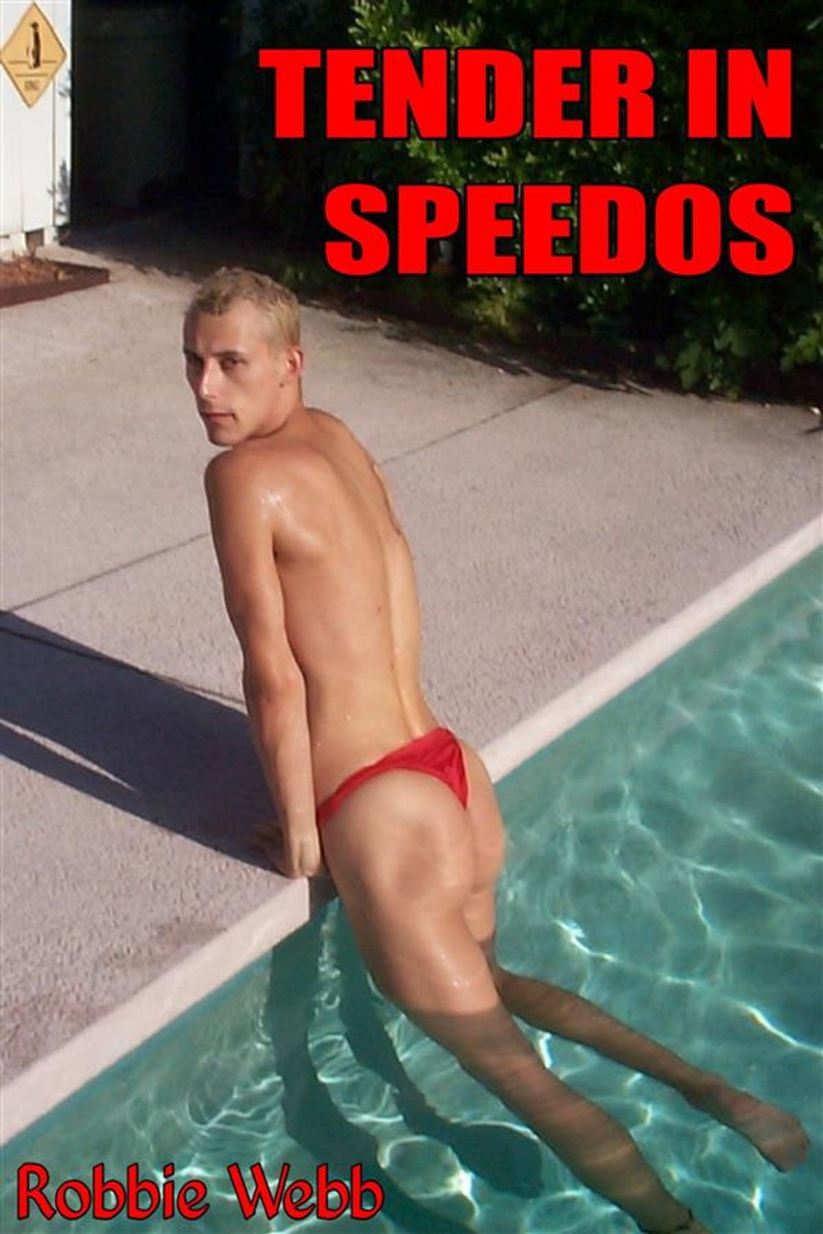 walmart speedos