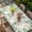 Green Beige, variant on Sage Green Eucalyptus Table Cloths for 6 Foot Rectangle Tables, Spring Leaves Black White Plaid Patio Waterproof Elastic Fitted Tablecloths, Washable Rectangular Table Cover for Camping