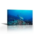 thumbnail image 1 of Redlip Parrotfish and coral, Roca Redonda, Galapagos Islands - Contemporary Fine Art Giclee on Canvas Gallery Wrap - wall décor - Art painting - 30 x 20 Inch - Ready to Hang, 1 of 2