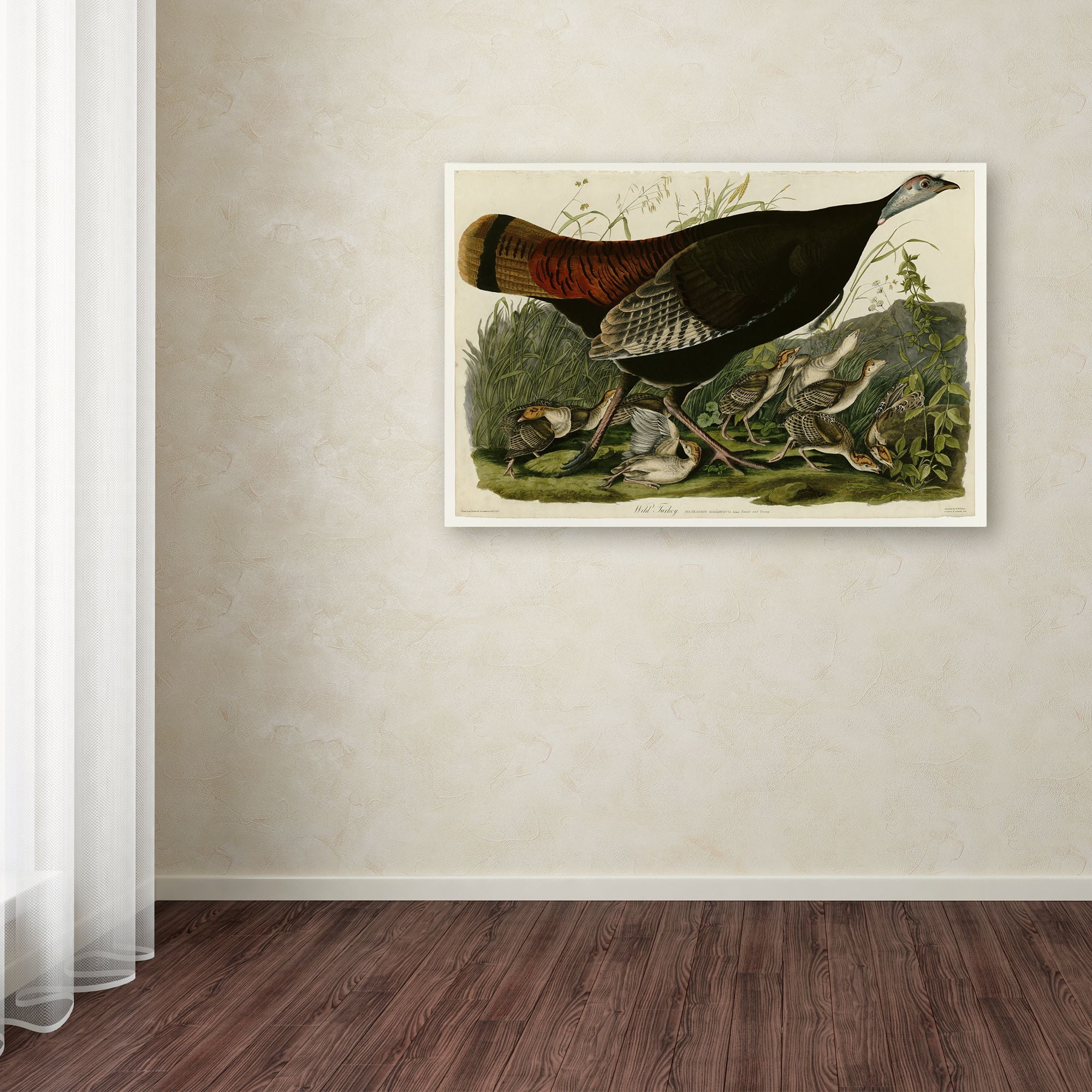 Audubon 'Wild Turkeyplate 6' Canvas Art