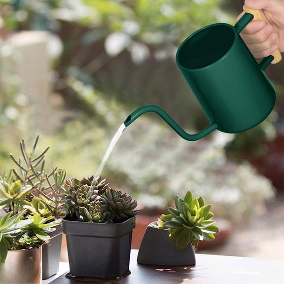 Watering Can Indoor Plants, Metal Stainless Steel Watering Can Pot with Long Spout for Indoor House Plants Bonsai Outdoor Garden Flower Decorative