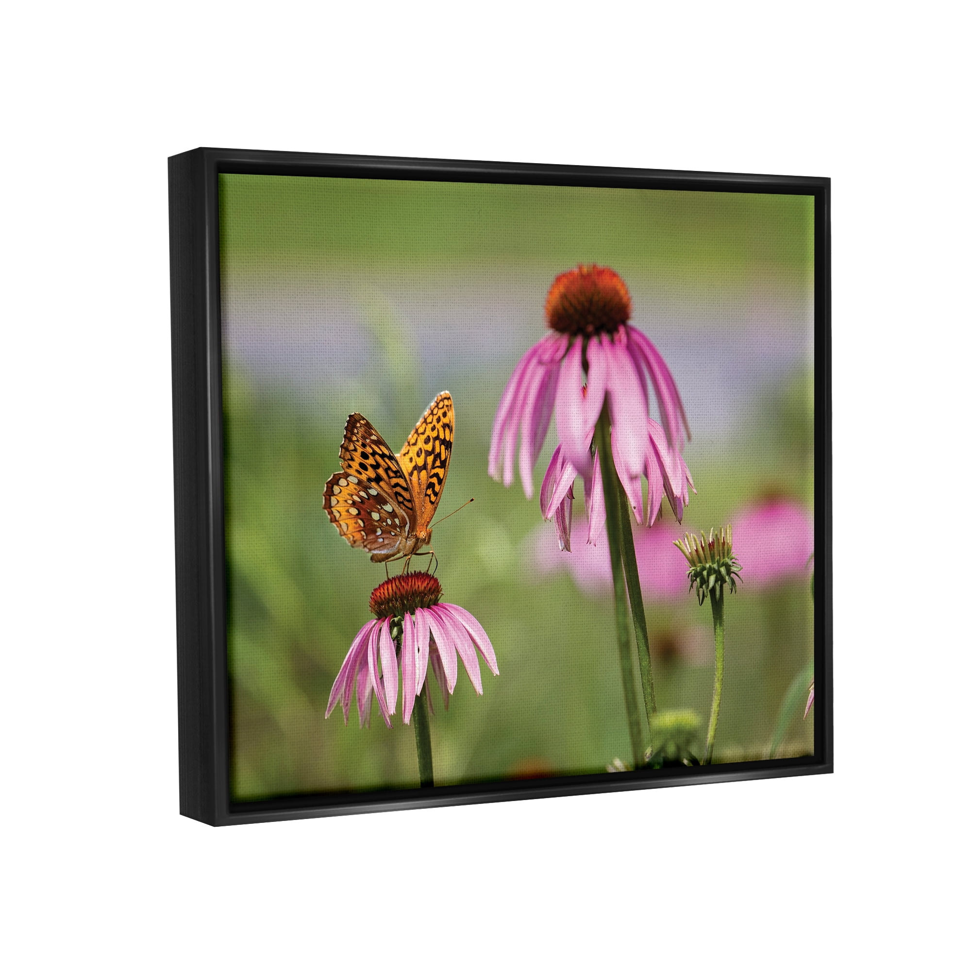 Stupell Industries Butterfly on Purple Flower Animals & Insects Photography Black Floater Framed Art Print Wall Art, 31 x 25