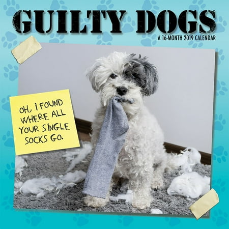 - 2019 Guilty Dog Wall Calendar