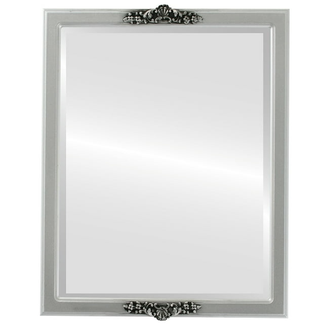 Athena Framed Mirror - Silver Spray