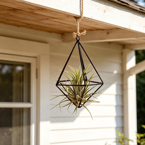 YFGEFTR Small Air Plant Holders, Hanging Metal Air Plant Holder, Geomitric Airplants Hanger for Home and Office (3''x4.8'')