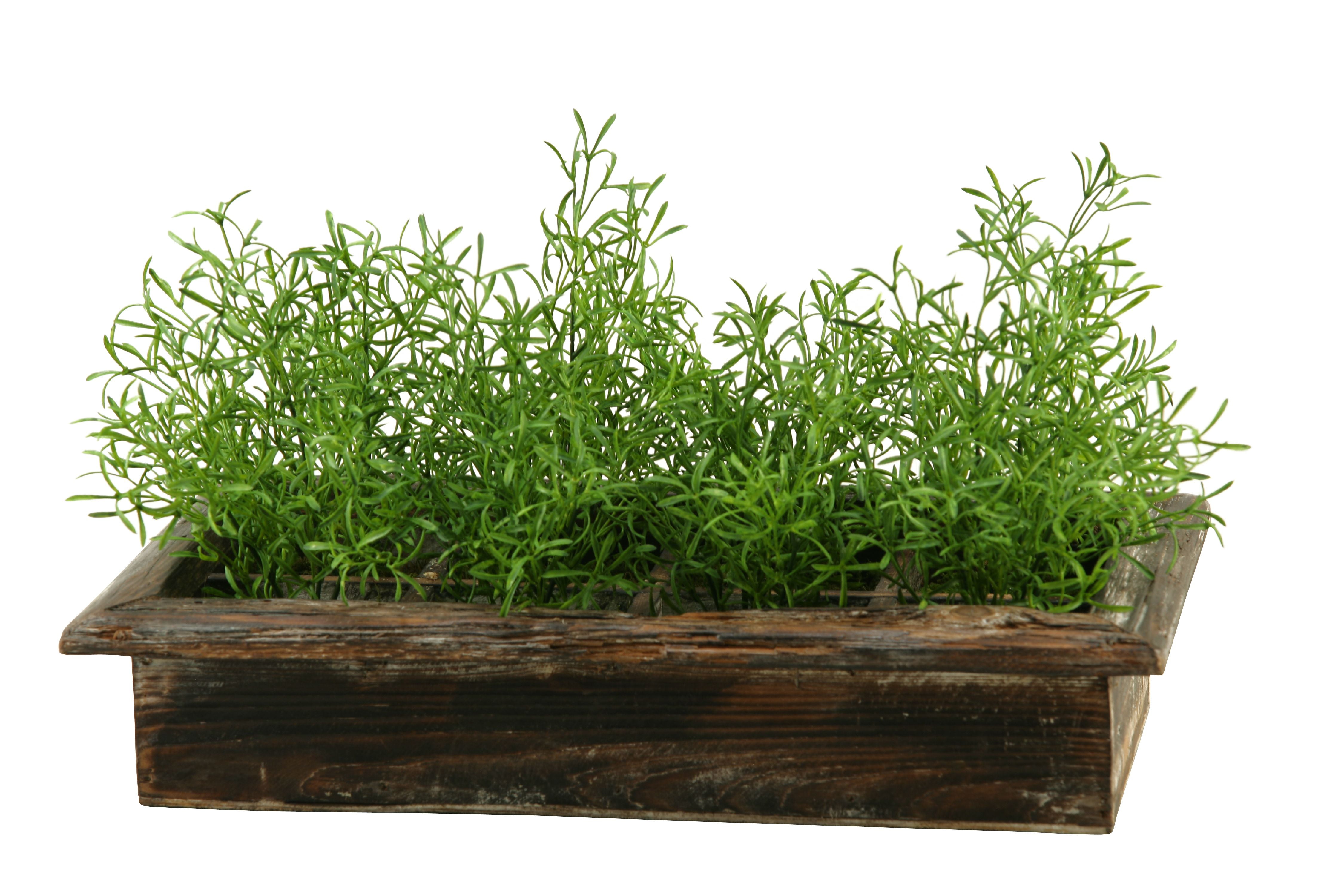 D&W Silks Wild Asparagus in Rectangle Wood Planter Box