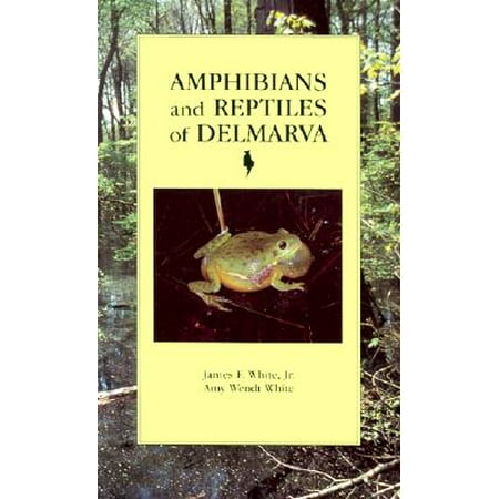 Amphibians And Reptiles Of Delmarva Walmart Com