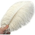thumbnail image 2 of Beige Ostrich Feathers Bulk - 24pcs 12-14inch Cream Feathers for Vase,Wedding Party Centerpieces and Home Decor, 2 of 14