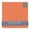 Carnelian Orange, variant on Orange 14x14 Uncut Art Mat Board - No Opening - 1 Mat