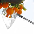 thumbnail image 6 of Giyblacko Cherry Fruit 10.5 Ft Fruit Pole With Basket Telescoping Stainless Steel Adjustable Fruit Pole With Metal Teeth Basket Suit For Lemon Pear Fruit, 6 of 7
