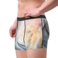 thumbnail image 4 of Disketp The Cat Looks In The Mirror Men'S Boxer Briefs,Soft And Breathable Cotton Underwear With Comfortflex Waistband, 4 of 9