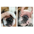thumbnail image 4 of Squishface Wrinkle Paste + Wrinkle Wipes for Dog Wrinkles & Tear Stains, 4 of 11