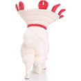 thumbnail image 5 of Comfortable Pet Recovery Cone Collar for Dogs and Cats, Padded Flower Design, Furry Animal Shape, Adjustable Size, 5 of 5