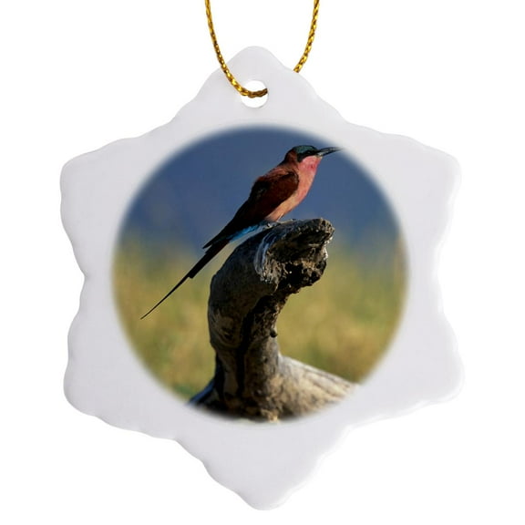 3drose, Botswana, Chobe Np, Carmine Bee Eater Bird, Chobe River-af05 Pso0003 - Paul Souders, 3 inch Snowflake Porcelain Ornament