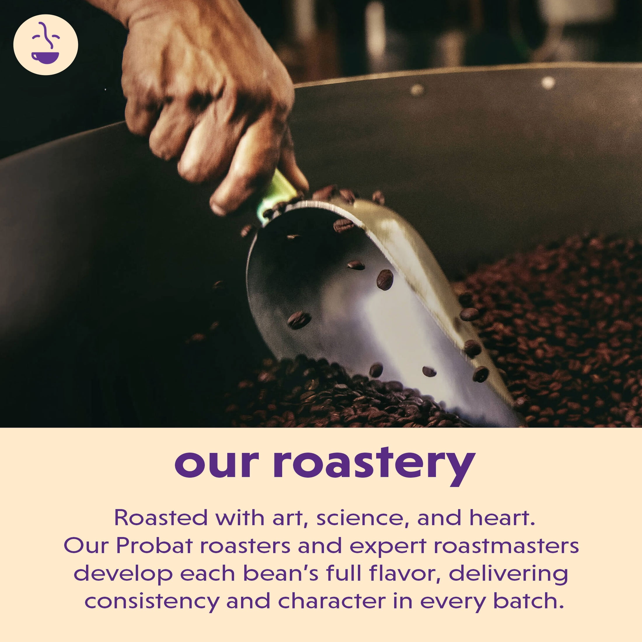 Coffee Bean Direct City Roast Papua New Guinea, Whole Bean Coffee, Arabica, Medium Roast, 5 lb Bag