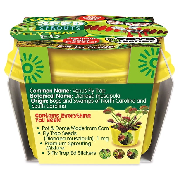 Current Ed Fly Trap Eco Seed Sprouts - Home Plant Germination Kit