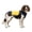 CoolMor™ Dog Cooling Vest – NAVY/YELLOW (MEDIUM), variant on CoolMor™ Dog Cooling Vest (CoolMor™DogCoolingVest–NAVY/YELLOW(SMALL))