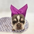 thumbnail image 7 of Dog Ear Protection, Ear ProtectionforDogs, Waterproof Fabric, Adjustable Strap, Dog Ear CoversforBath, Dog Bath, Pet Grooming, Red, 1 Pc, Pet Headgear, 7 of 7