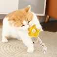 thumbnail image 3 of Natural Loofah Chew Interactive Cleaning Teething Enrichment Activity Toy for Cats and Small, 3 of 6