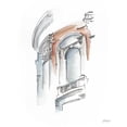 thumbnail image 2 of Harper, Ethan 15x18 White Modern Wood Framed Museum Art Print Titled - European Watercolor Sketches II, 2 of 4