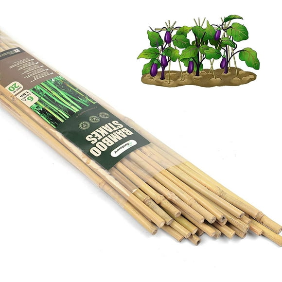 Tomato Stakes 6ft