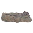 thumbnail image 2 of Dinosaur Simulated Landscape Model Scenes with Diverse Animals and Plants Models for Parent Child Interaction, 2 of 8
