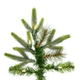 thumbnail image 2 of Vickerman 8' Shawnee Fir Artificial Christmas Tree, Warm White LED Dura-lit Lights, 2 of 4