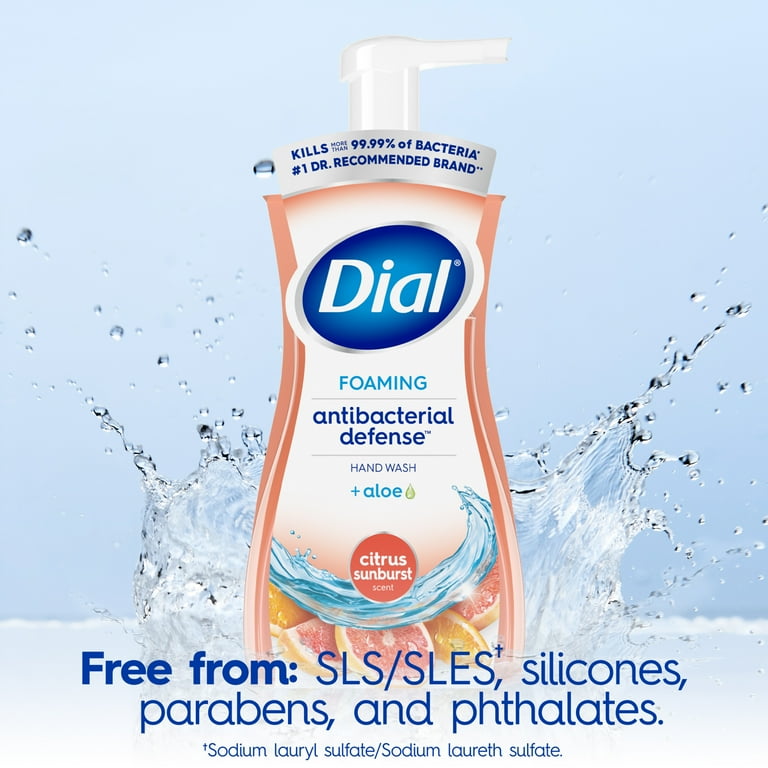 Dial Antibacterial Foaming Hand Wash Citrus Sunburst 7.5 fl oz Walmart