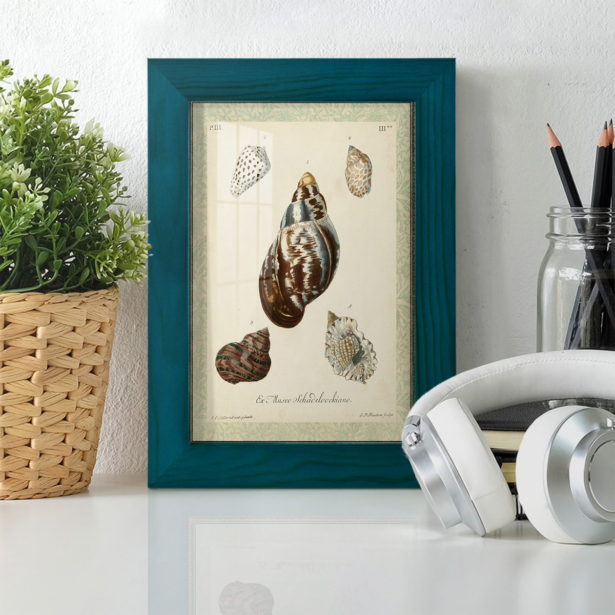 Bookplate Shells VII - Framed Print w/glass - Ocean Blue