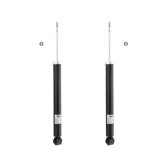 Rear Shock Absorber Kit - Compatible with 2005 - 2019 Chrysler 300 2006 2007 2008 2009 2010 2011 2012 2013 2014 2015 2016 2017 2018