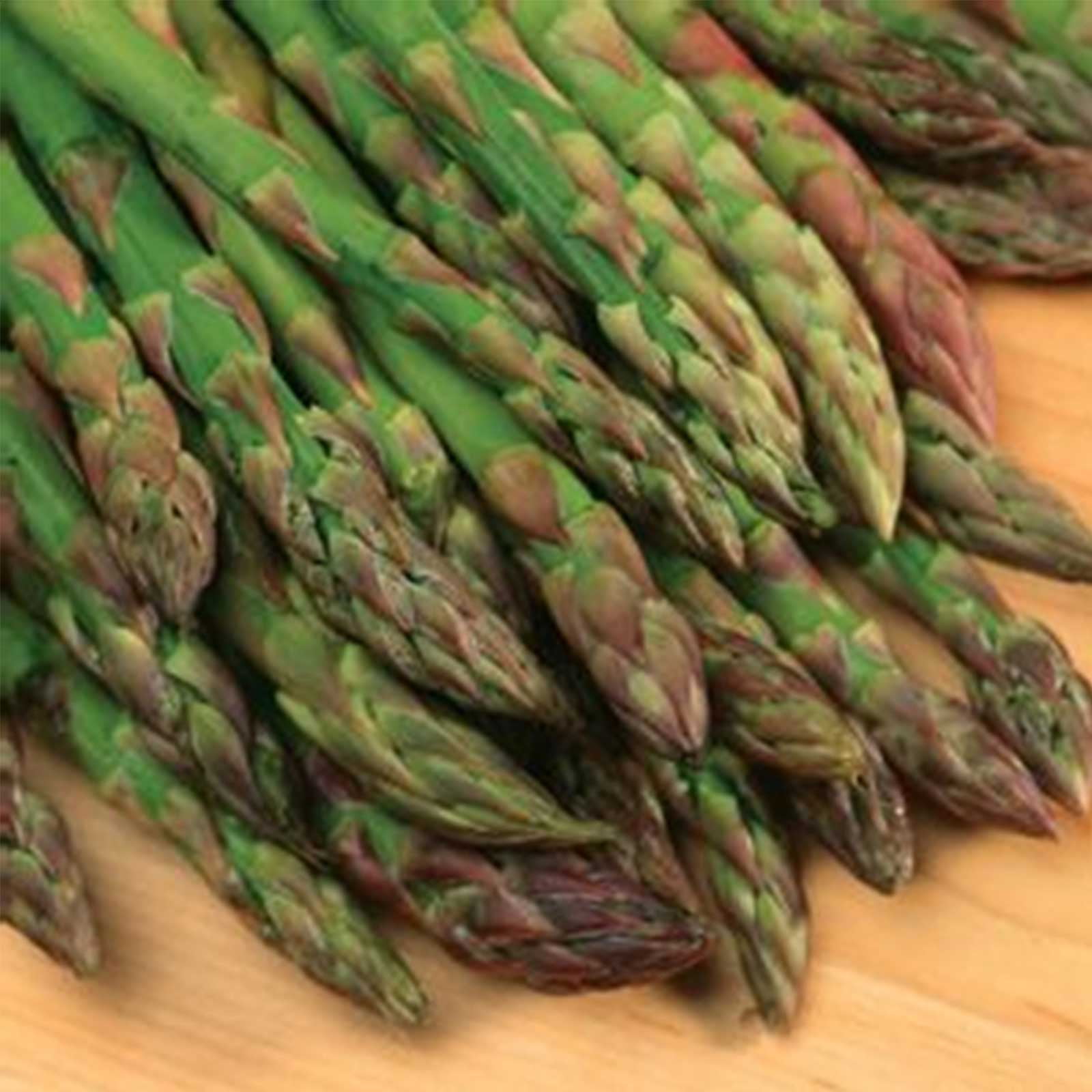 Asparagus Seeds Jersey Giant Hybrid Approx 1000 Seeds NonGMO