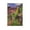 Unframe-style, variant on Paul Gauguin Prints Rue De Tahiti Canvas Wall Art Poster Picture Print Canvas Poster Wall Paint Art Posters Decor Modern Home Artworks Gift 12x18inch(30x45cm)
