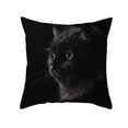 thumbnail image 2 of 2022 Pillowcase Cartoon Black Cat Print Peach Skin Animal Pillow Home Pillowcase, 2 of 5