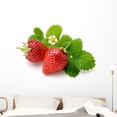 thumbnail image 1 of Strawberry Wall Mural by Wallmonkeys Peel and Stick Graphic (48 in W x 32 in H) WM170507, 1 of 4